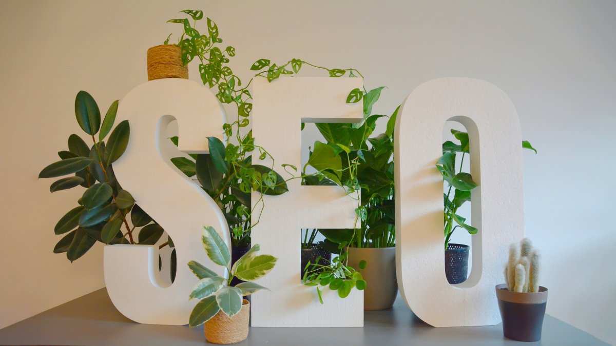SEO Basics: How to Get Your Website Noticed